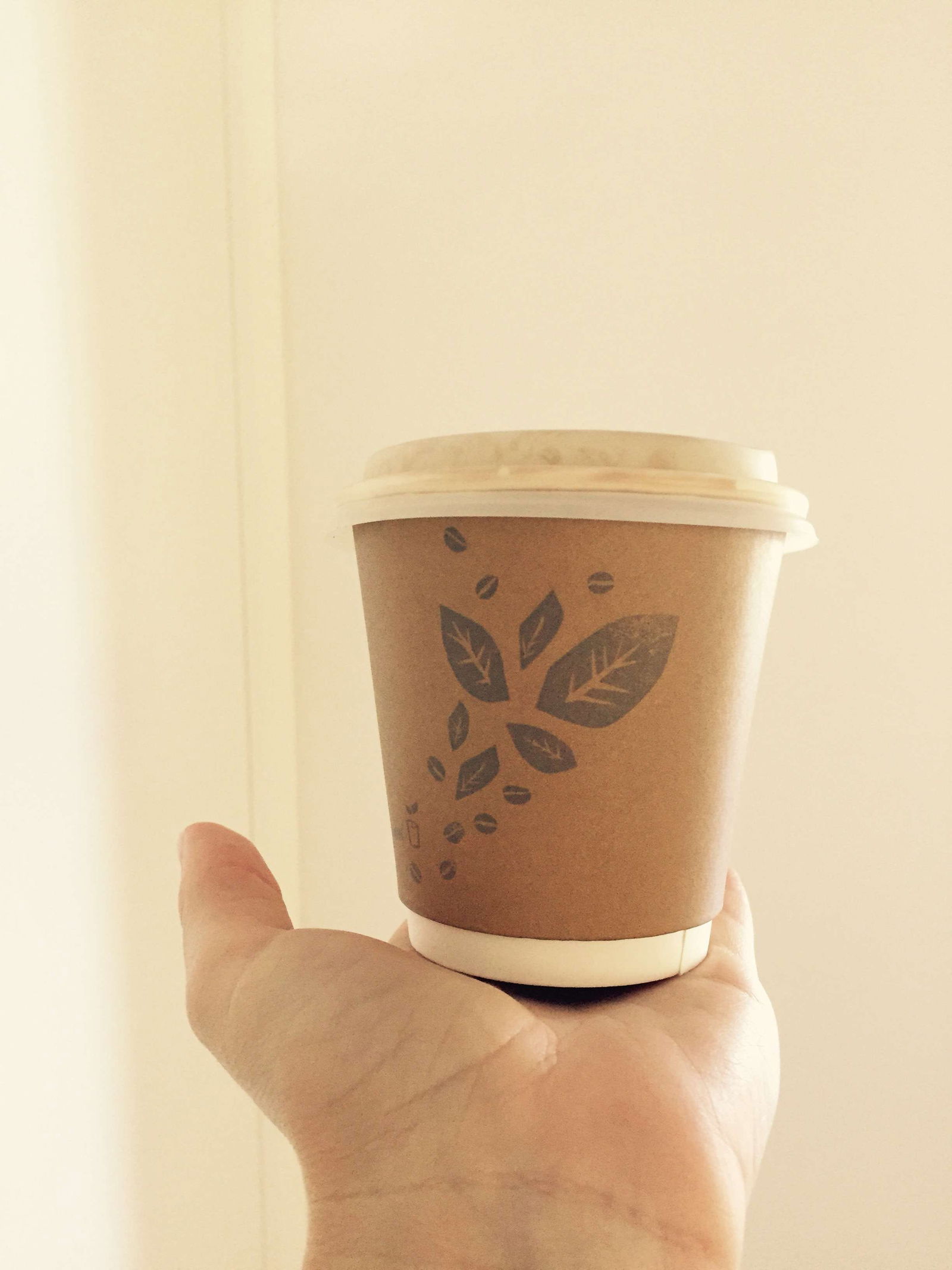 Kingaroy Accommodation