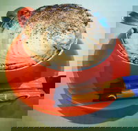 Arthur Radley - Kingaroy Accommodation