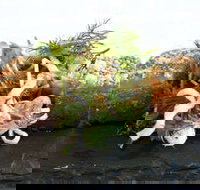 Pasfields Restaurant  Bar Deck - Kingaroy Accommodation