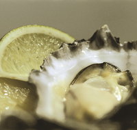 Pearly Oyster Bar and Farm - Kingaroy Accommodation