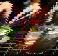 Mr Beebes - Kingaroy Accommodation