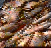 Pacific Eats - Kingaroy Accommodation