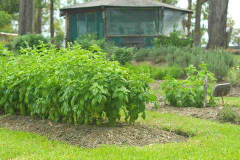 Hillview Herb Farm - Kingaroy Accommodation 2