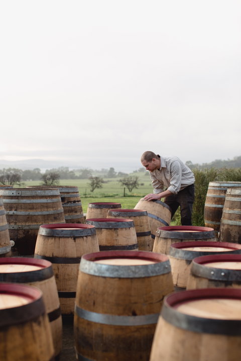 Lark Distillery - Kingaroy Accommodation 2