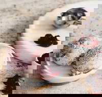 Gelatissimo - Artarmon - Kingaroy Accommodation