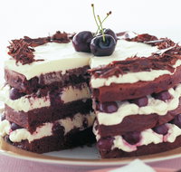 The Cheesecake Shop - Sunnybank Hills - Kingaroy Accommodation