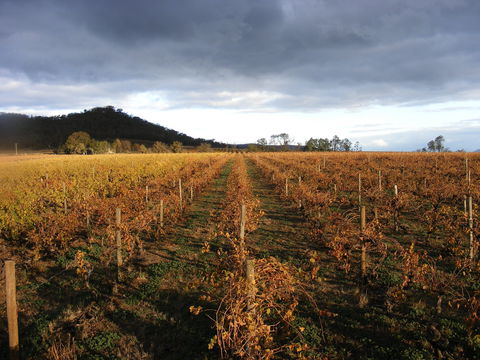 Booths Taminick Cellars - Kingaroy Accommodation 2