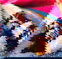 Donut King - Taylors Lakes - Kingaroy Accommodation