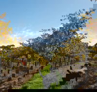 Ruddenklau Wines - Kingaroy Accommodation