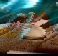 La Cantina - St Leonards - Kingaroy Accommodation