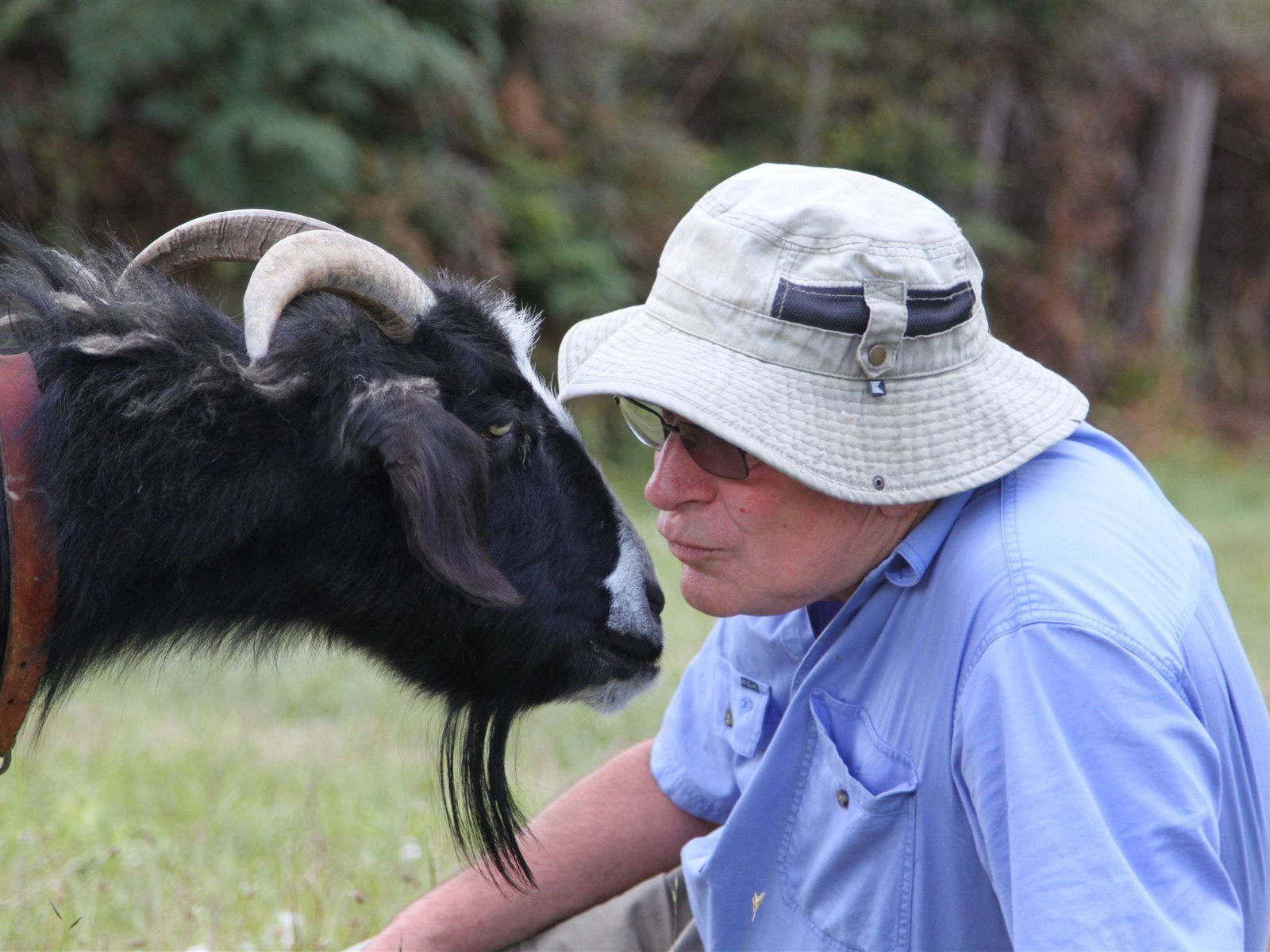  Kingaroy Accommodation