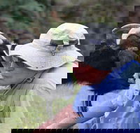 Providence Vineyards - Kingaroy Accommodation