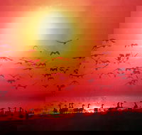 TINH and LAN Vietnamese Restaurant - Kingaroy Accommodation