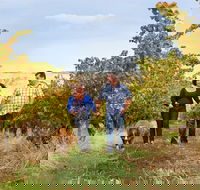 WayWood Wines - Kingaroy Accommodation