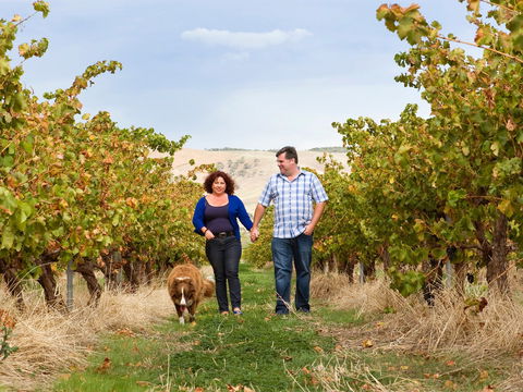 WayWood Wines - Kingaroy Accommodation 0