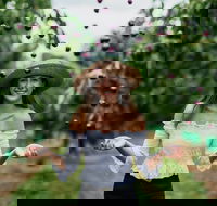 Cherryhill Orchards - Kingaroy Accommodation