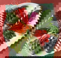 Olive Bus Clare - Kingaroy Accommodation