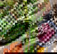 Stone cold - Kingaroy Accommodation