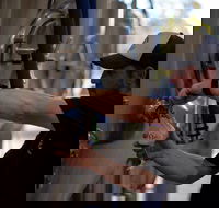 Wild Hop Brewing Company - Kingaroy Accommodation