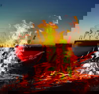 Black Dog Brewery - Kingaroy Accommodation