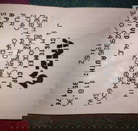 Bubba Pizza - Mount Barker - Kingaroy Accommodation