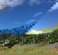 Freycinet Vineyard - Kingaroy Accommodation