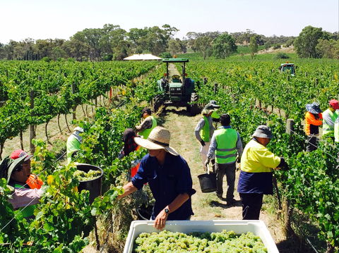 Grosset Wines - Kingaroy Accommodation 1