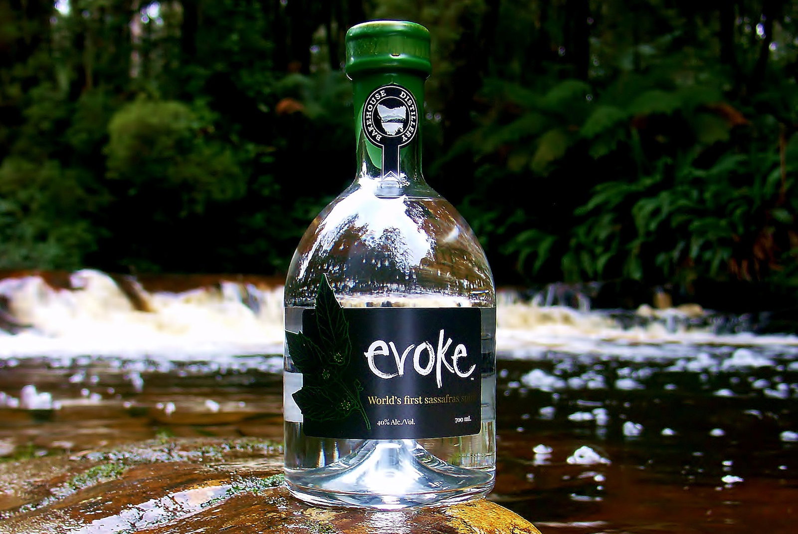 Kingaroy Accommodation