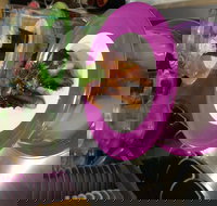 Shinobu Sushi Bar - Kingaroy Accommodation