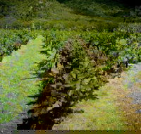 Gartelmann Wines - Kingaroy Accommodation