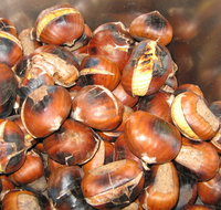 Tweenhills Chestnuts - Kingaroy Accommodation
