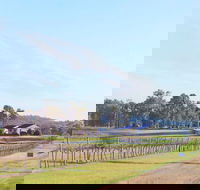 Blacklea Vineyard and Olive Grove - Kingaroy Accommodation