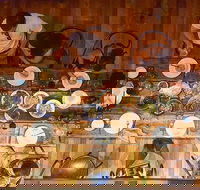 The Dark Horse - Kingaroy Accommodation