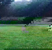 Goat Hill Farm - Kingaroy Accommodation