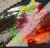 Cafe Rhubaba - Kingaroy Accommodation