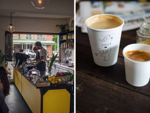 Punch And Daisy - Kingaroy Accommodation 0