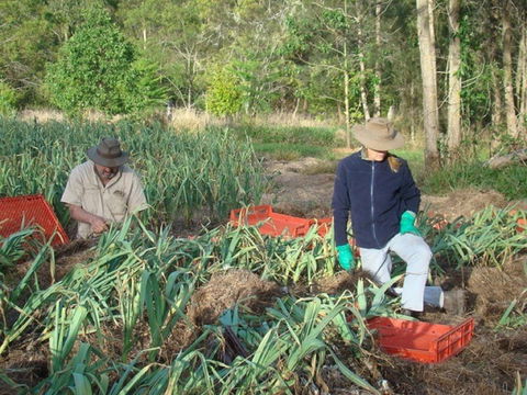 Sweet Water Farm - Kingaroy Accommodation 0
