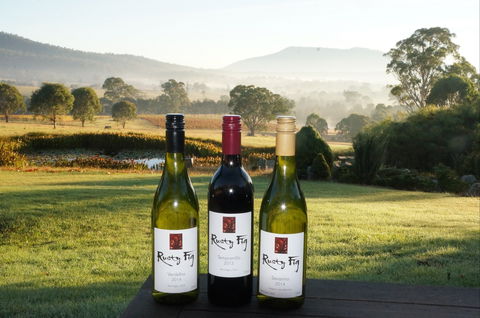 Rusty Fig Wines - Kingaroy Accommodation 0