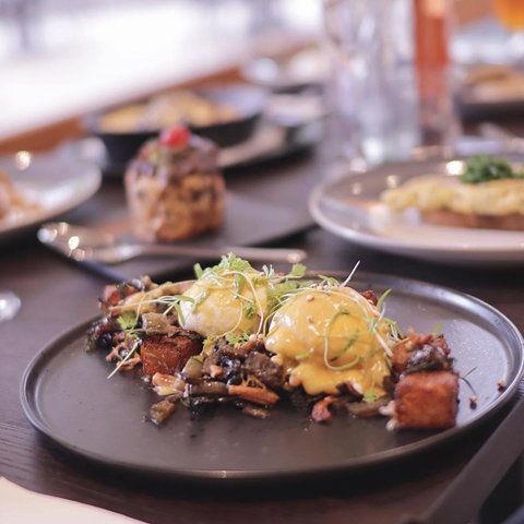 Halo Ground Coffee & Food - Kingaroy Accommodation 0