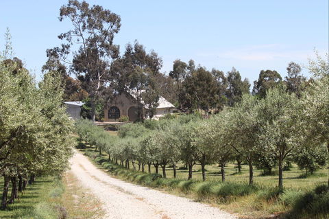 L'Oliveraie Olive Grove - Kingaroy Accommodation 0