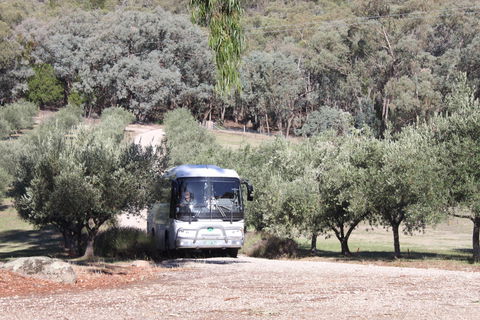 L'Oliveraie Olive Grove - Kingaroy Accommodation 2