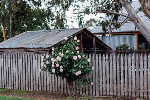 Penny's Hill Winery - Kingaroy Accommodation 2