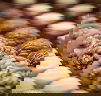 Cafe Stellina - Kingaroy Accommodation