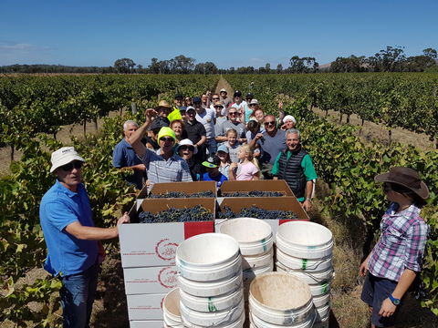 The Shiraz Republic - Kingaroy Accommodation 1