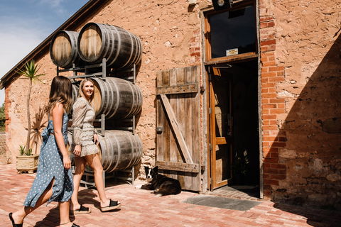 Shingleback Wine - Kingaroy Accommodation 1