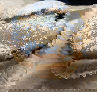 Surfside Patisserie - Kingaroy Accommodation