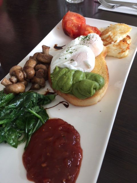 Jack Loves Red - Kingaroy Accommodation 7