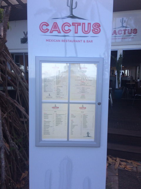 Cactus - Kingaroy Accommodation 1