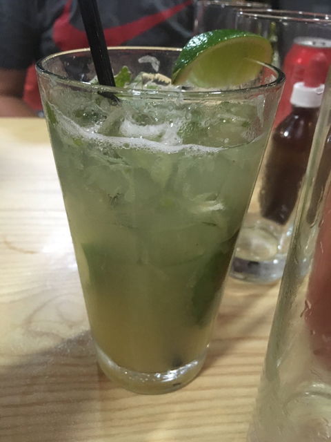 Cactus - Kingaroy Accommodation 4