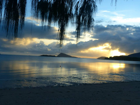 Dingo Beach Hotel - Kingaroy Accommodation 4